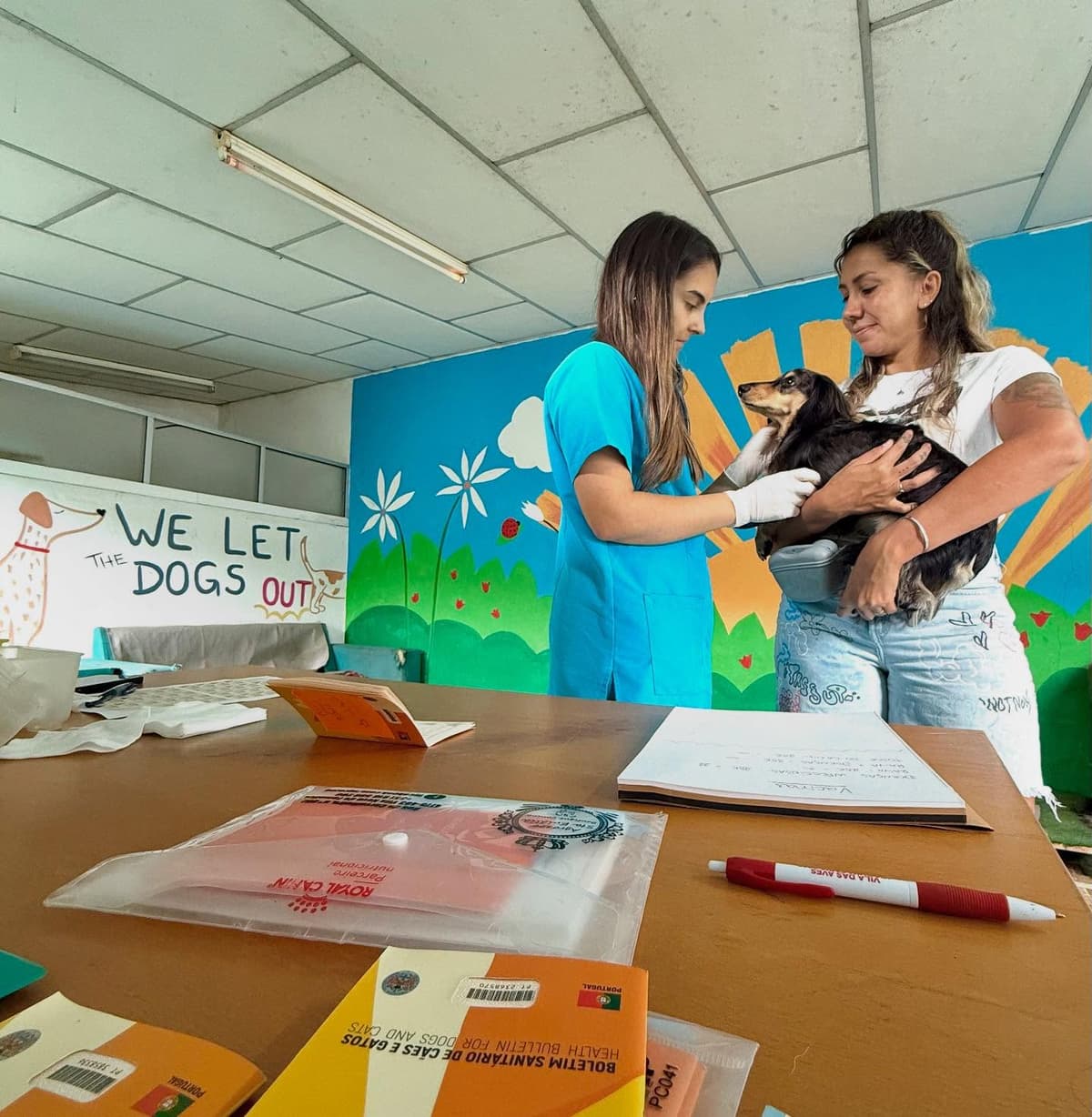 Check-in de cão na Dog Fella